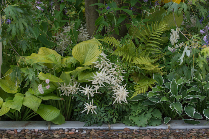 A Dogs Life Garden RHS Hampton Court 2016