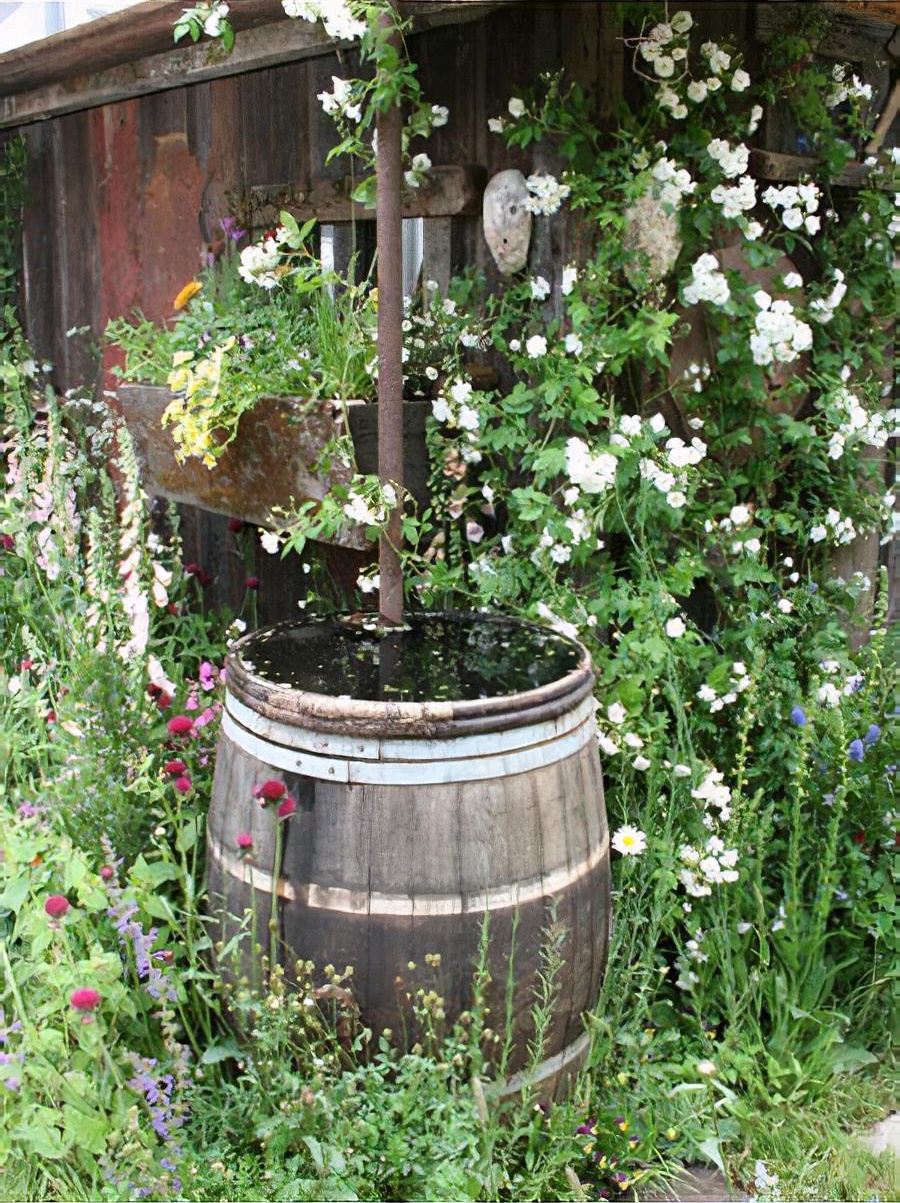 The fetzer sustainable winery garden