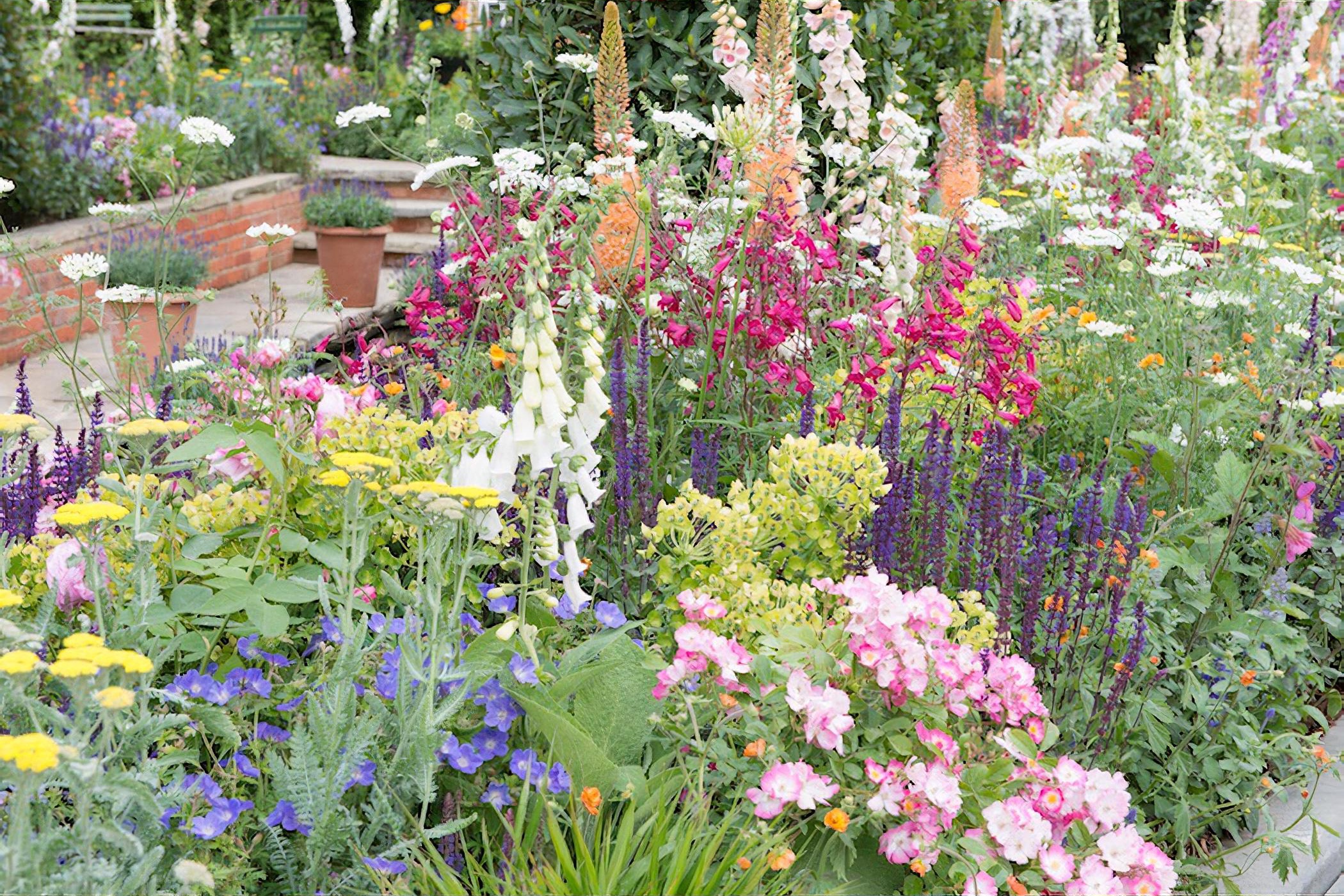 Harrods British Eccentrics Garden Rhs Chelsea Flower Show 2016