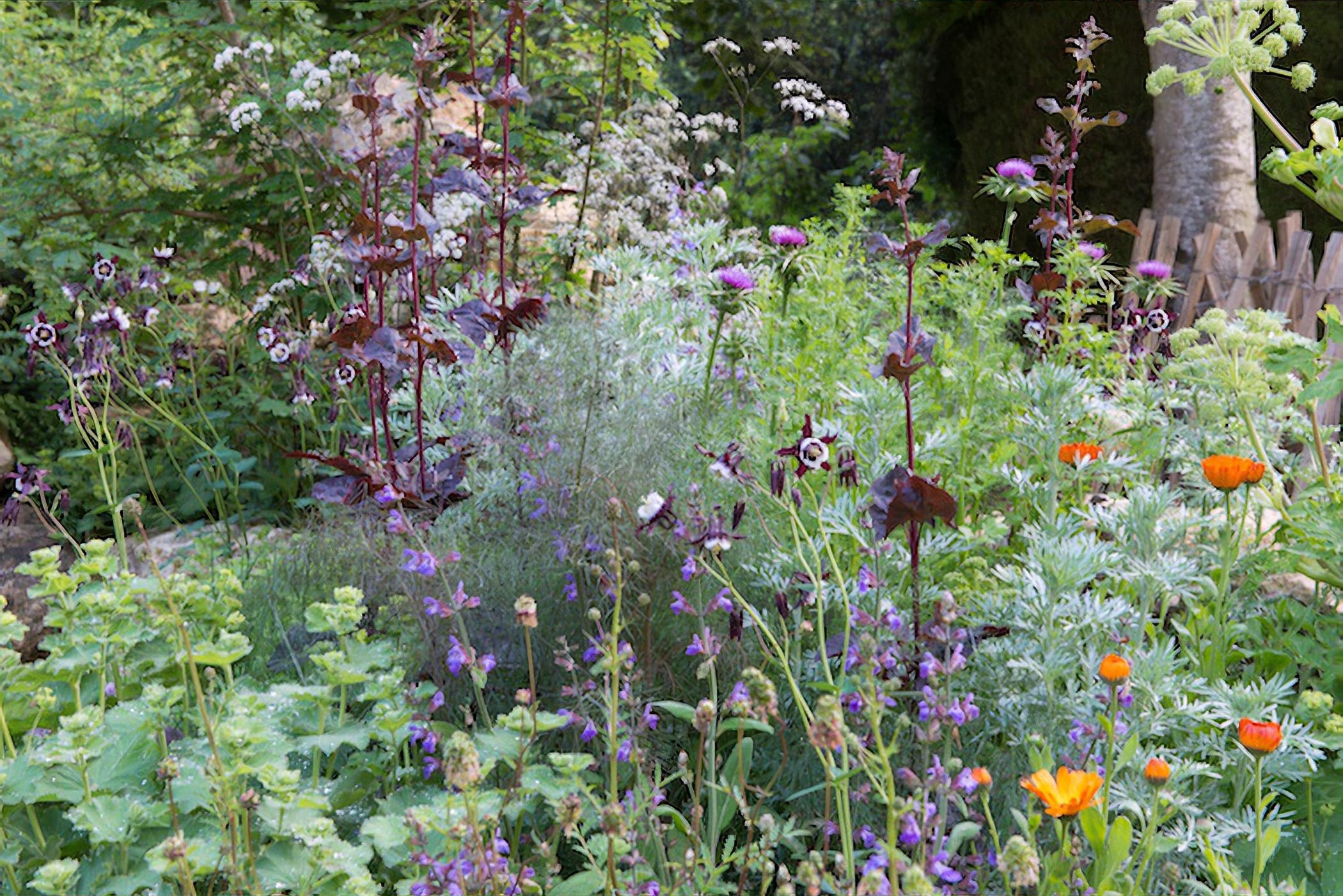 The Warner Edwards Garden Chelsea Flower Show 2018 by garden designer ...