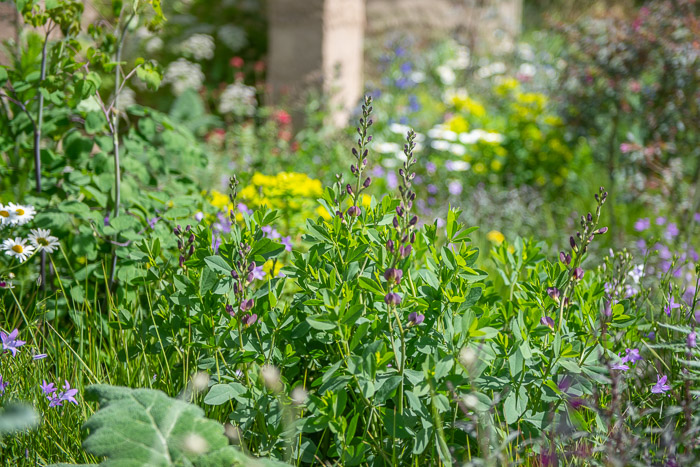 The Mind Garden by garden designer Andy Sturgeon for Chelsea Flower ...