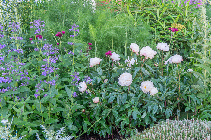 The RNLI Garden by garden designer Chris Beardshaw for Chelsea Flower ...