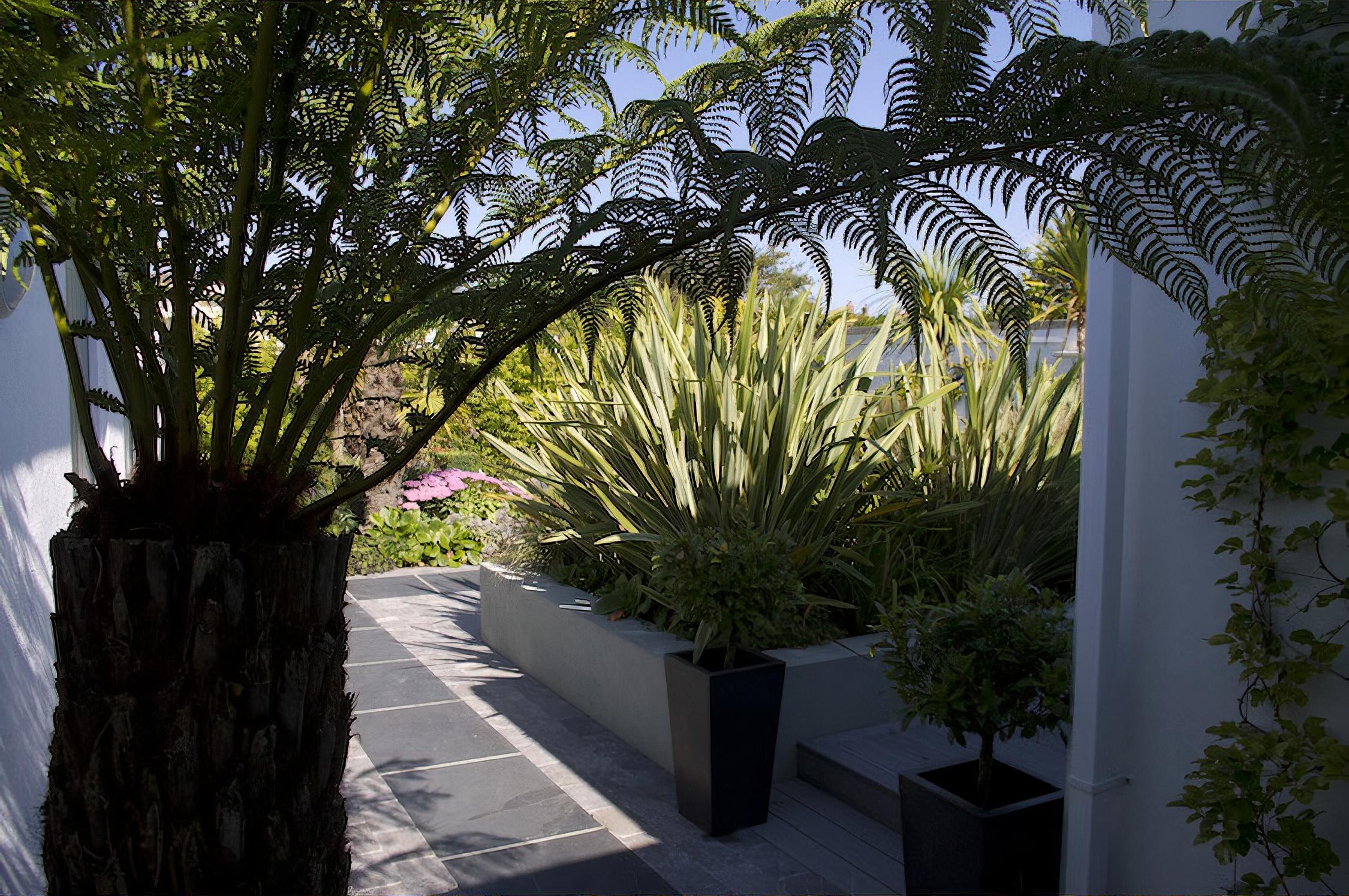 Contemporary Garden near Coast, Dorset designed by Helen Elks-Smith