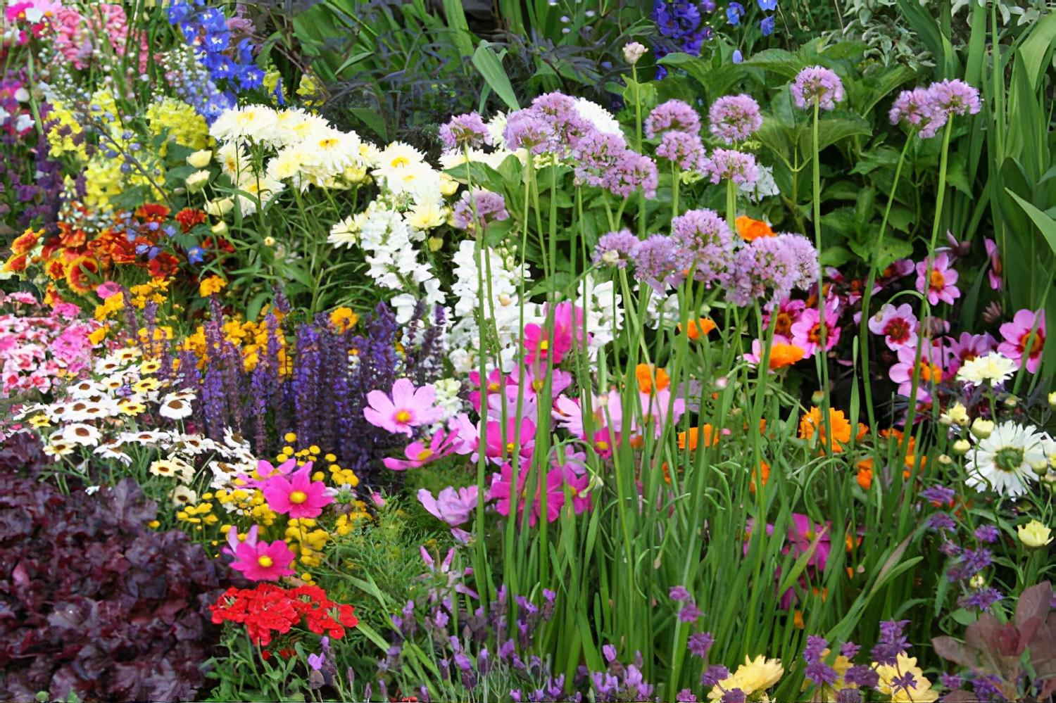 Hampton Court Flower Show 2010 Birchfield Garden