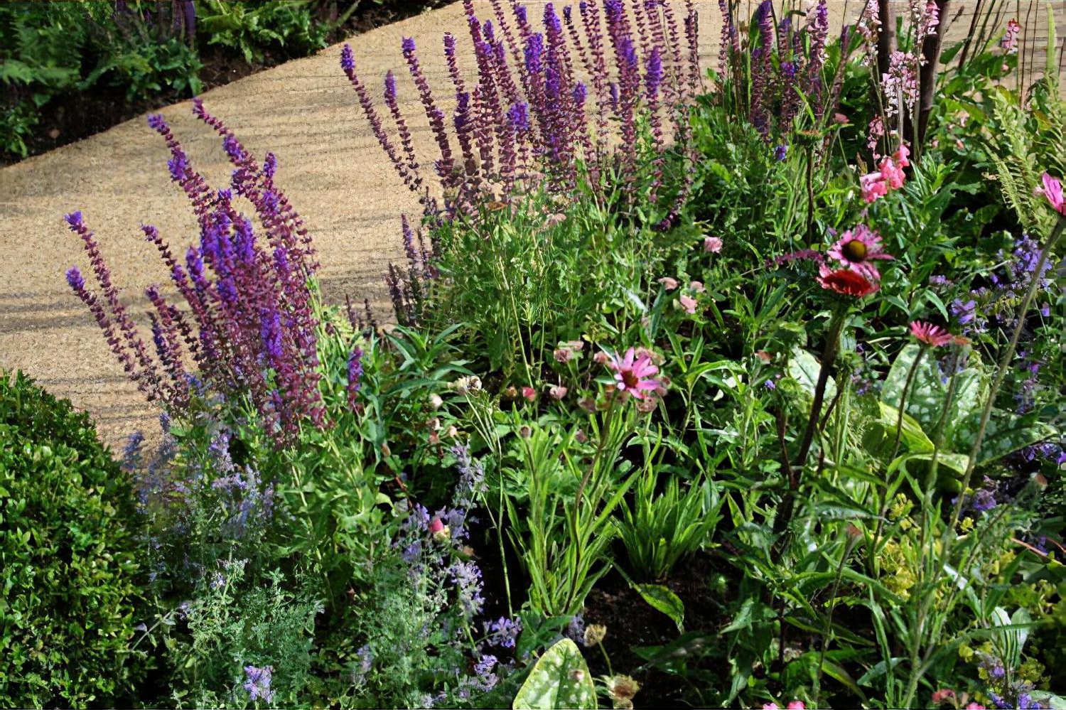 Hampton Court Flower Show 2010 The Combat Stress Therapeutic Garde