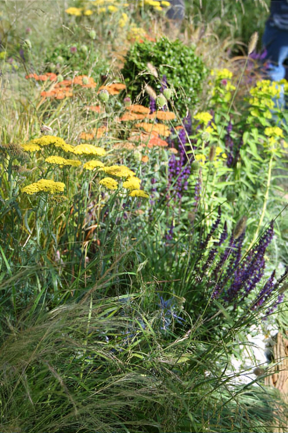 The Qef Garden For Joy Hampton Court Flower Show 2013