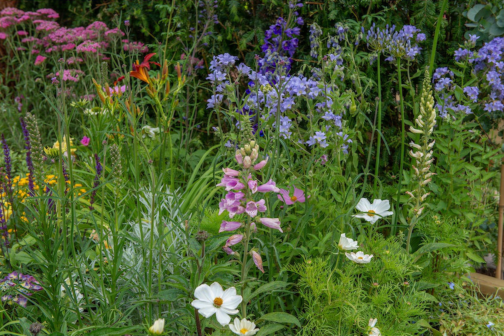 Southend Young Offenders ' A Place to Think' Garden RHS Hampton Court ...