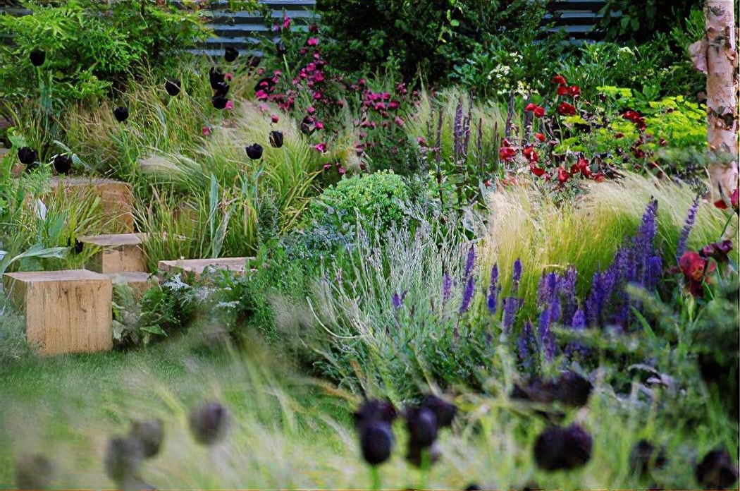 Andy sturgeon steps and lush planting